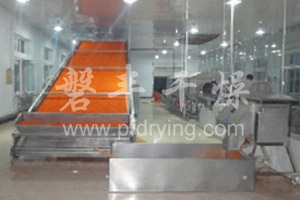 DWT series dehydrated vegetable dryer
